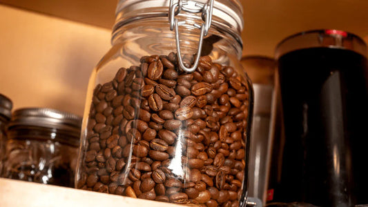 How to Store Coffee: Pantry, Fridge, or Freezer? Your Guide to Coffee Storage
